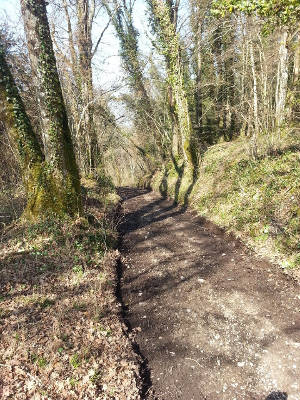 chemin_rural